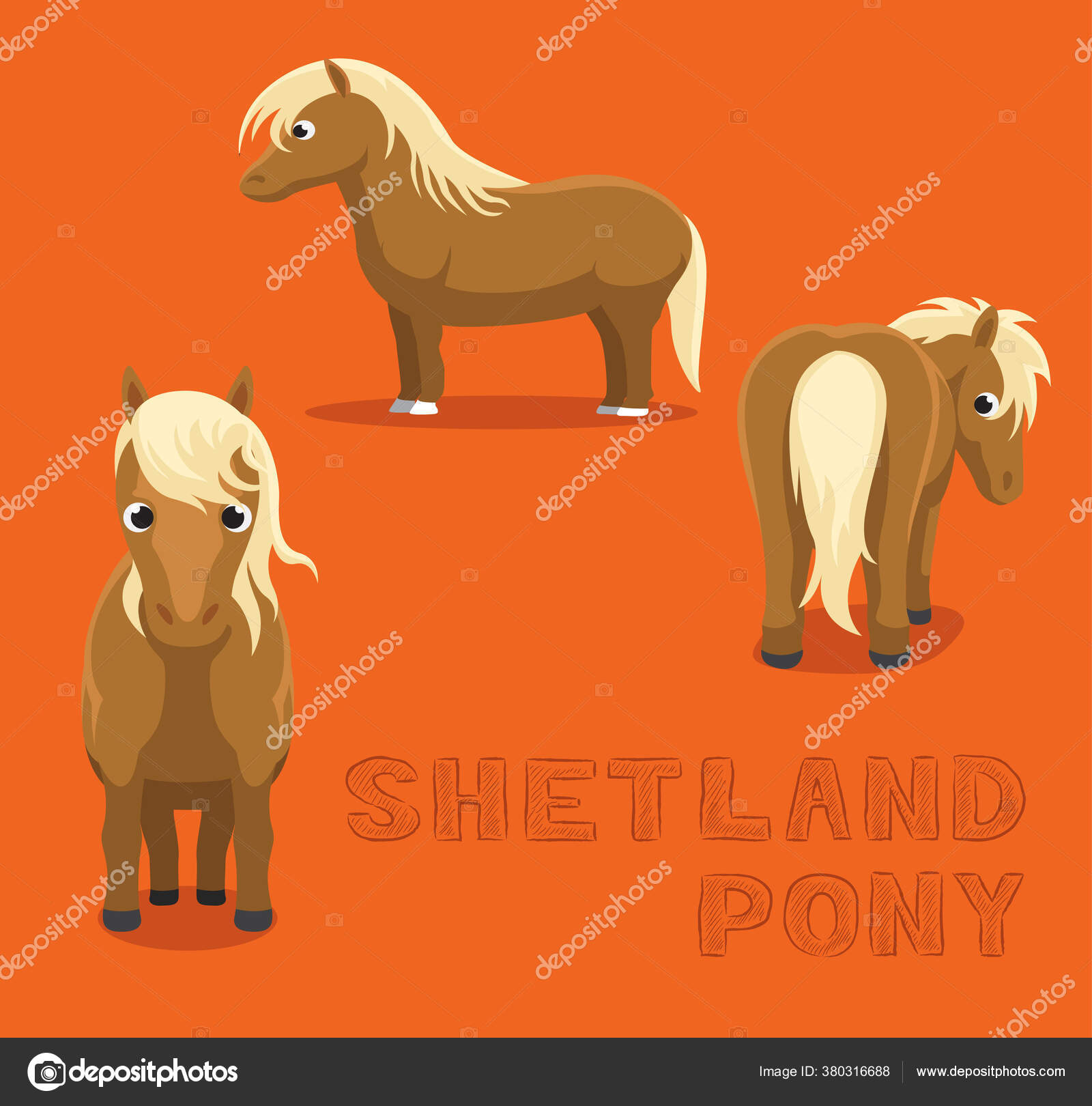 Poney shetland images vectorielles, Poney shetland vecteurs libres de  droits | Depositphotos