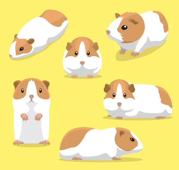 Cute Guinea Pig Poses Cartoon Vector Illustration — Stock Vector