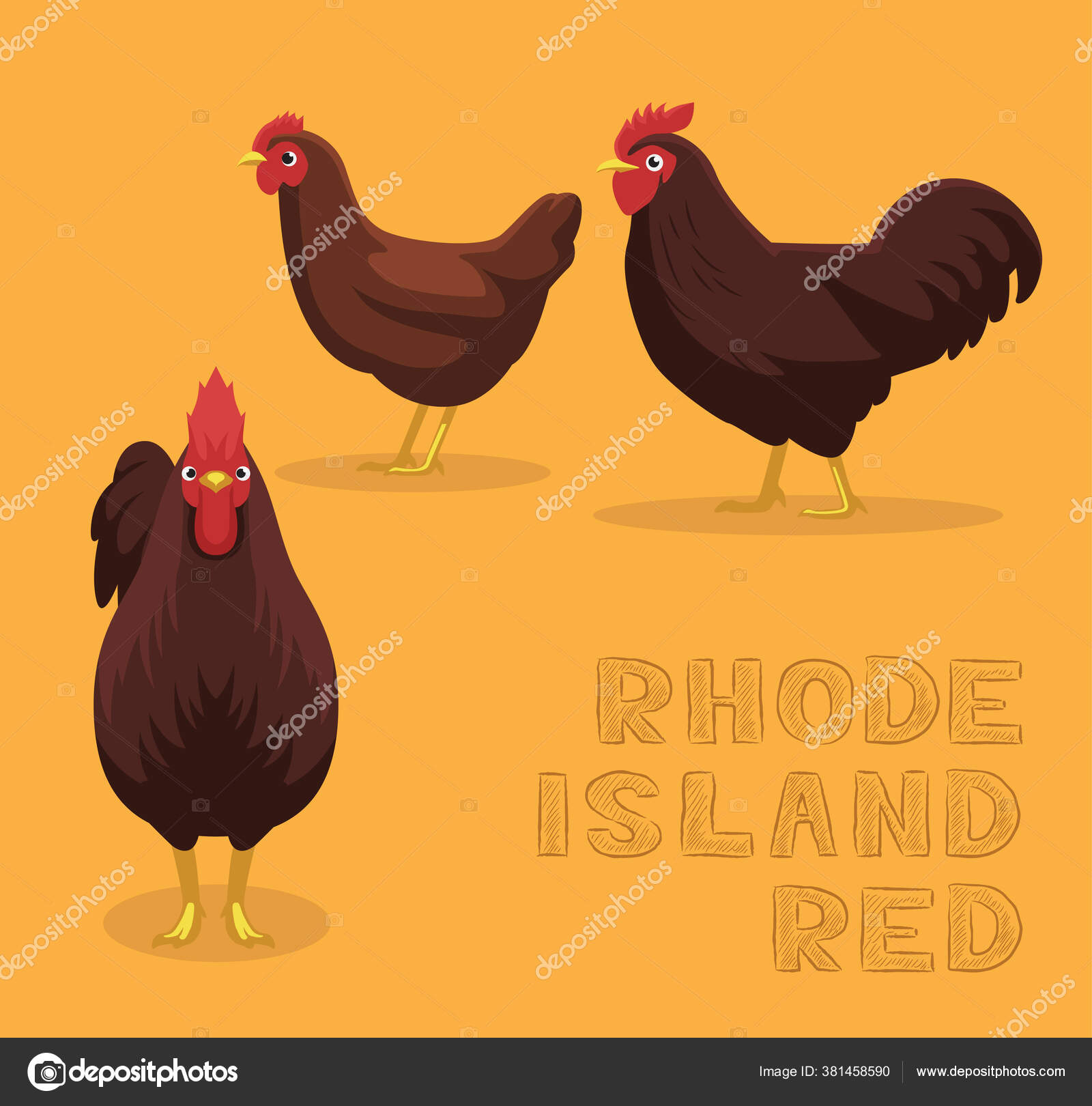 Chicken Rhode Island Red Cartoon Vector Illustration Stock Vector Image