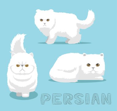 Kedi Farsça Çizgi Film Vektör İllüstrasyonu