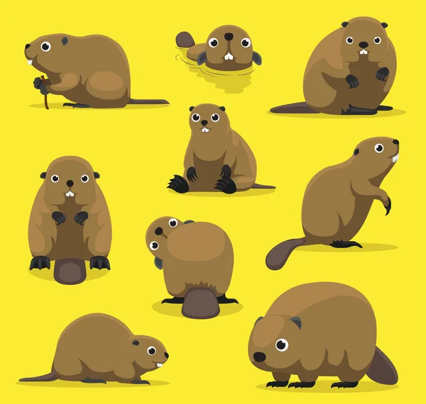 Cute Beaver Vários Poses Cartoon Vector Ilustração —  Vetores de Stock