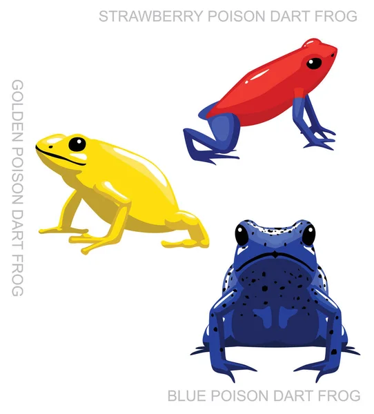 Frog Poison Dart Frog Set Tecknad Vektor Illustration — Stock vektor