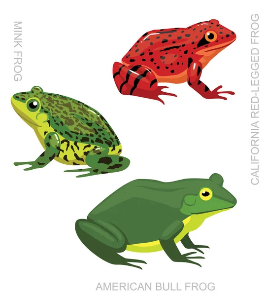 Frog American Frog Set Cartoon Vector Ilustração — Vetor de Stock