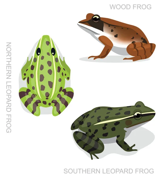 Frog Leopard Frog Set Cartoon Vector Illustration — 스톡 벡터