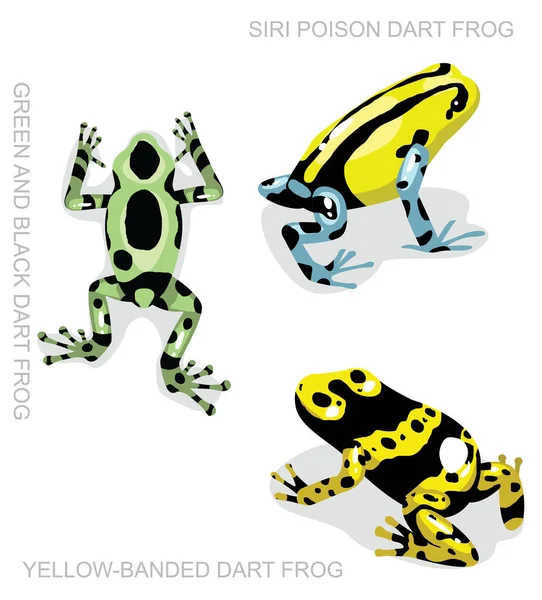 Frog Poison Dart Frog Frog Set Dibujos Animados Vector Ilustración — Archivo Imágenes Vectoriales