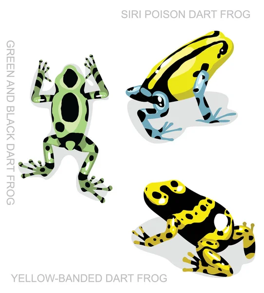 Frog Poison Dart Frog Set Cartoon Vector Illustration — стоковый вектор