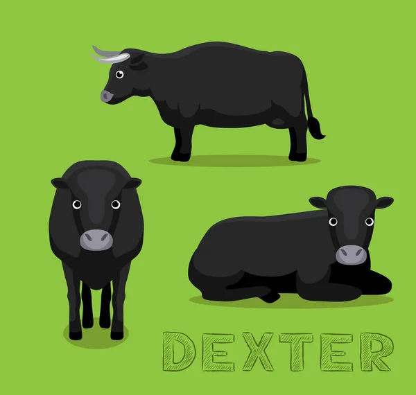 Vaca Dexter Cartoon Vector Ilustração —  Vetores de Stock