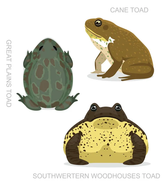 Toad Cane Set Cartoon Vector Illustration — 스톡 벡터