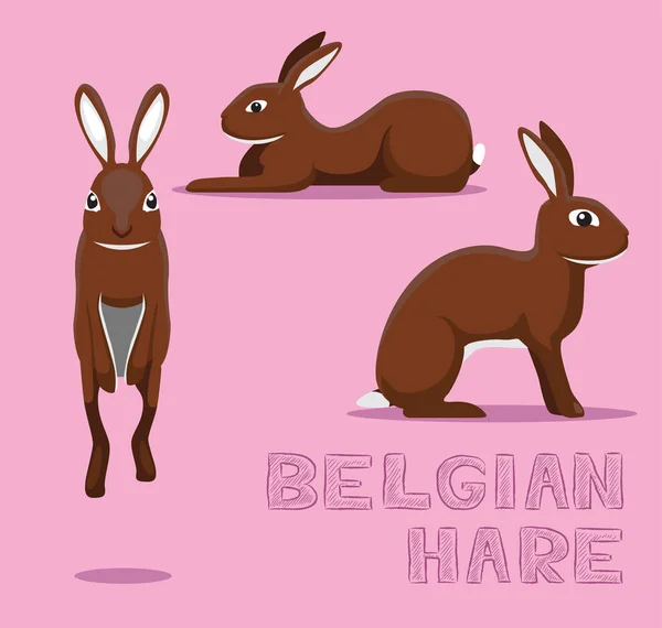 Králičí Belgická Kreslená Ilustrace Zajíce — Stockový vektor
