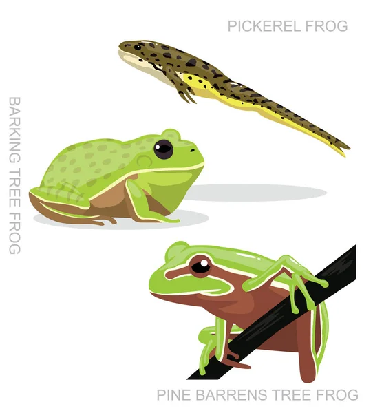 Pickerel Frog Set Cartoon Vector Ilustração — Vetor de Stock