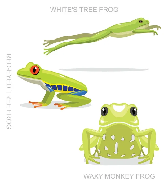 Red Eyed Tree Frog Set Cartoon Vector Ilustração — Vetor de Stock