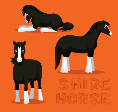 At Gemisi Çizgi Filmi Vektör İllüstrasyonu