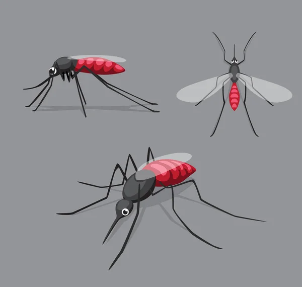 Mosquito Bonito Poses Cartoon Vector Ilustração —  Vetores de Stock