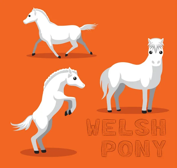 Paard Welsh Pony Cartoon Vector Illustratie — Stockvector