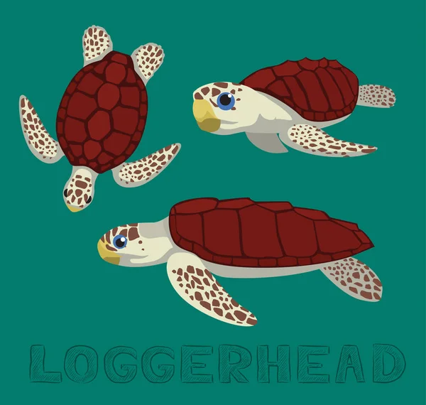 Zeeschildpad Loggerhead Cartoon Vector Illustratie — Stockvector