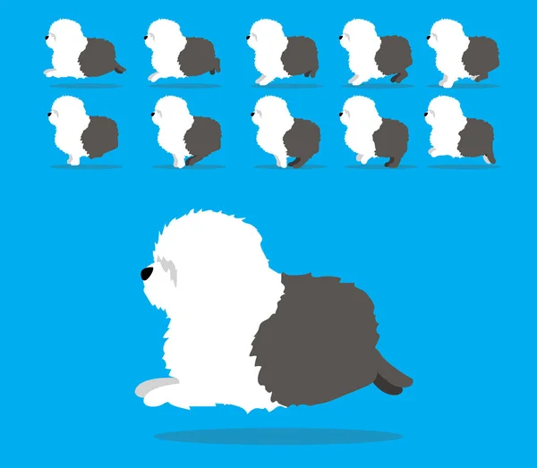 Animal Animation Sequence Dog Old English Sheepdog Cartoon Vector — 스톡 벡터