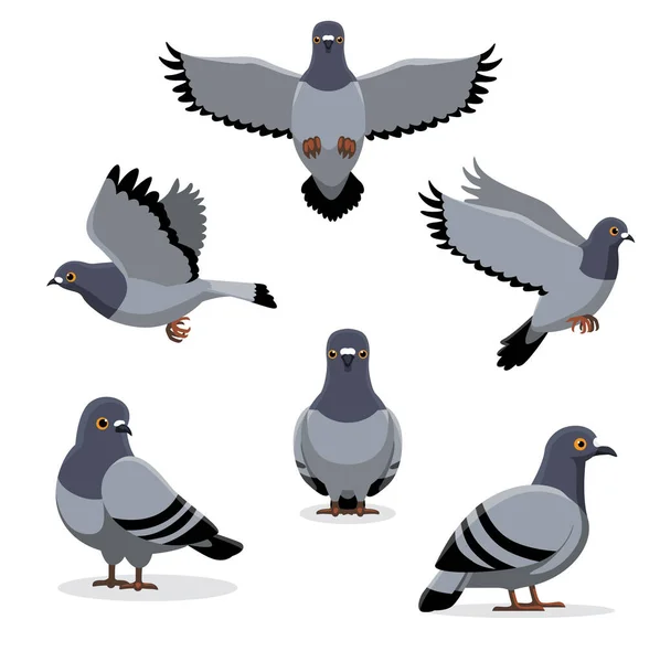 Poses Pigeon Oiseau Illustration Vectorielle Bande Dessinée — Image vectorielle