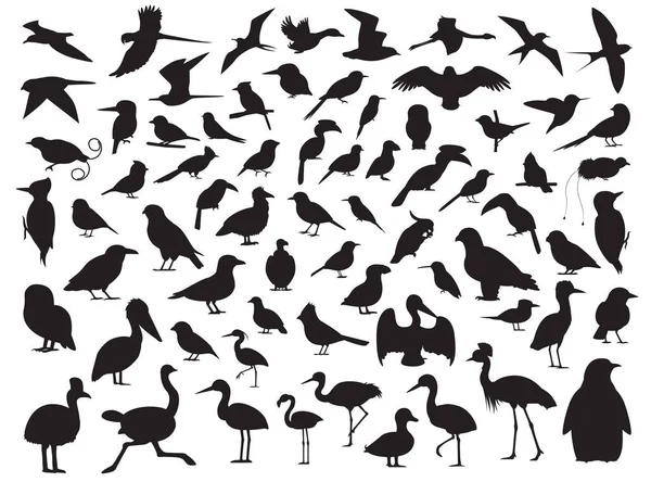 Vogel Silhouet Vector Illustratie — Stockvector