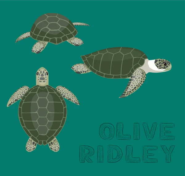 Ilustración Vector Dibujos Animados Ridley Tortuga Marina Oliva — Vector de stock