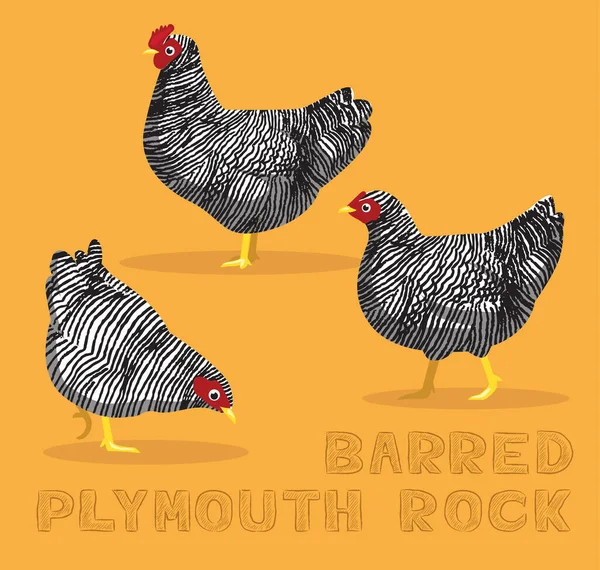 Κοτόπουλο Barred Plymouth Rock Cartoon Vector Εικονογράφηση — Διανυσματικό Αρχείο