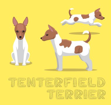Dog Tenterfield Terrier Çizgi film Vektörü İllüstrasyonu