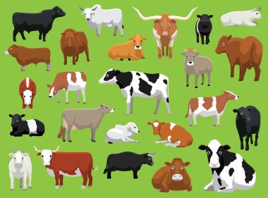 Various Cow Bull Cattle Poses Vector Illustration clipart