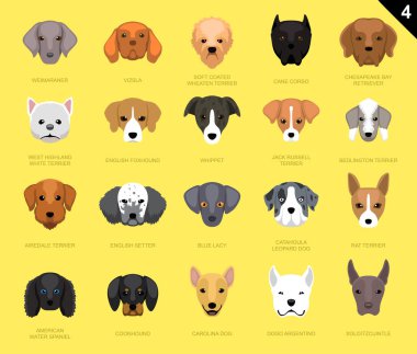 Köpek Simgeyle Yüzleşir Çizgi film 4