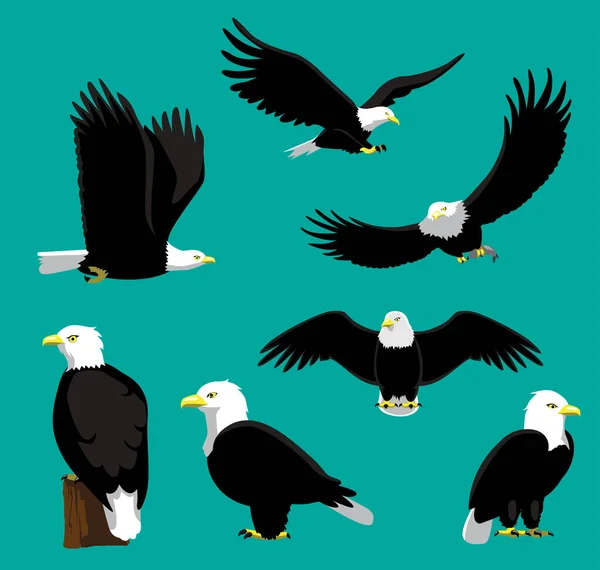 Bald Eagle Wektor Ilustracji Kreskówki — Wektor stockowy