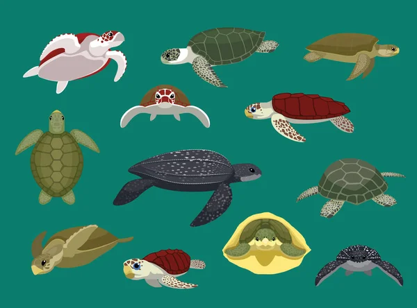 Diverses Poses Tortues Marines Illustration Vectorielle — Image vectorielle