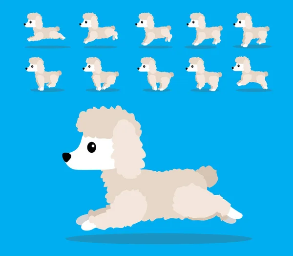 Animación Animal Secuencia Perro Estándar Poodle Cartoon Vector — Vector de stock