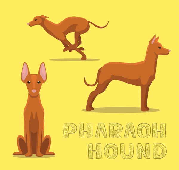 Dog Pharaoh Hound Cartoon Vector Illustration — Stockový vektor