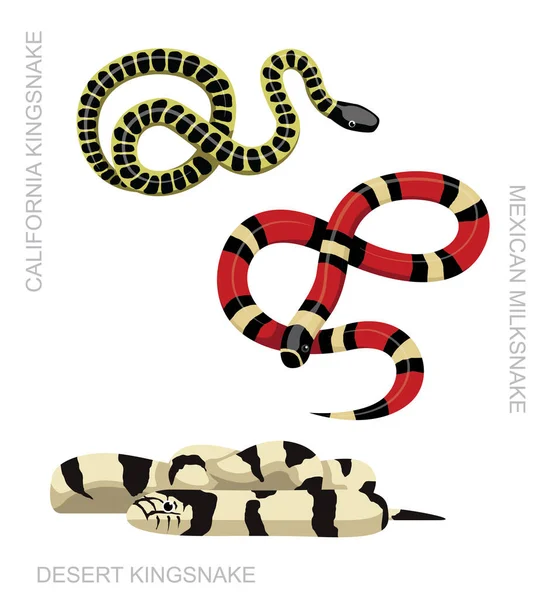 Serpiente Cobra Set Dibujos Animados Vector Ilustración — Vector de stock