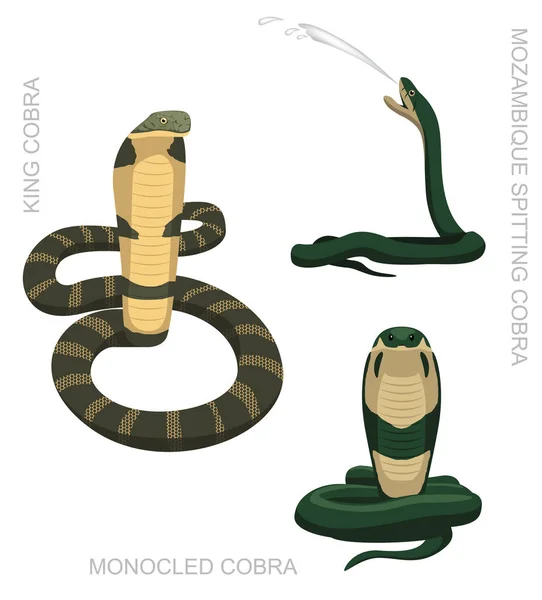 Serpiente Cobra Set Dibujos Animados Vector Ilustración — Vector de stock