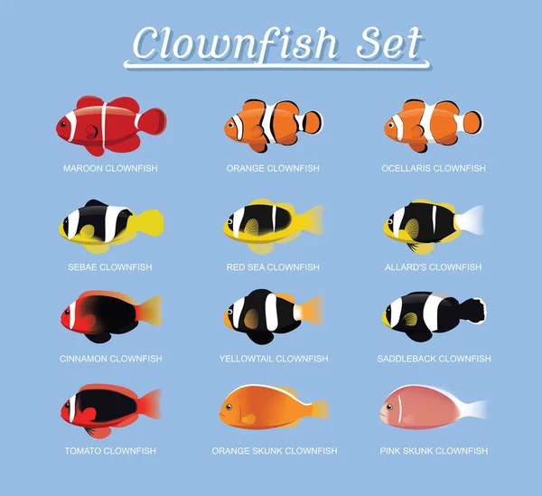 Clownfische Anemonenfische Set Cartoon Vector Illustration — Stockvektor