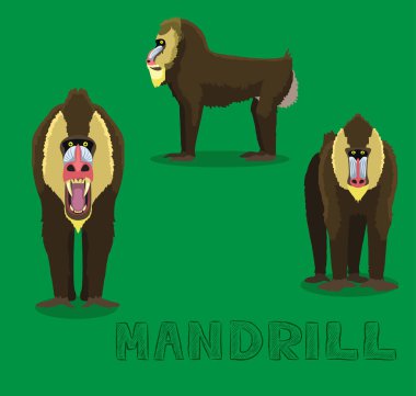 Maymun Mandrill Çizgi film Vektörü ResmiComment