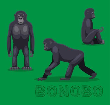 Maymun Bonobo Çizgi Filmi Vektör İllüstrasyonu