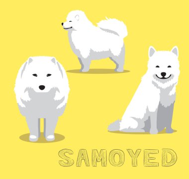 Köpek Samoyed Çizgi Film Vektör İllüstrasyonu
