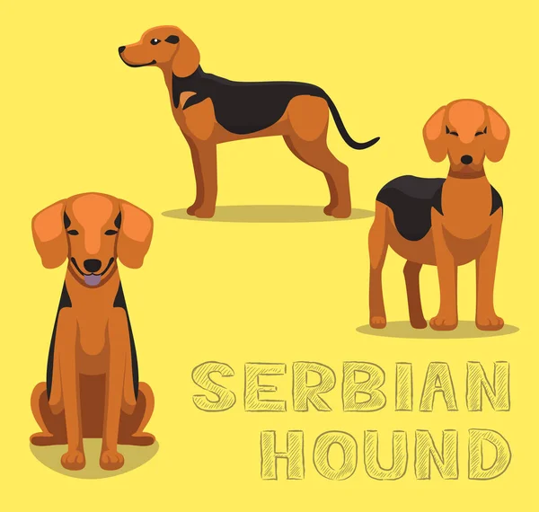 Dog Serbian Hound การ นเวกเตอร ภาพประกอบ — ภาพเวกเตอร์สต็อก