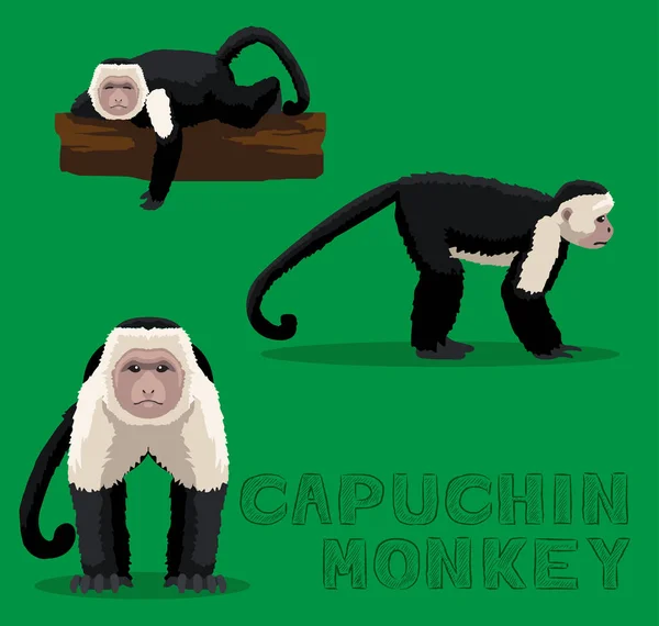 Ilustração Vetor Dos Desenhos Animados Macaco Capuchinho —  Vetores de Stock