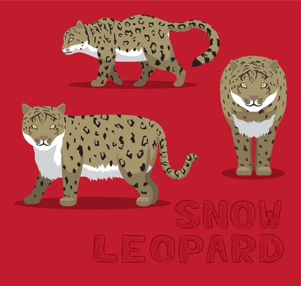 Snow Leopard การ นเวกเตอร ภาพประกอบ — ภาพเวกเตอร์สต็อก