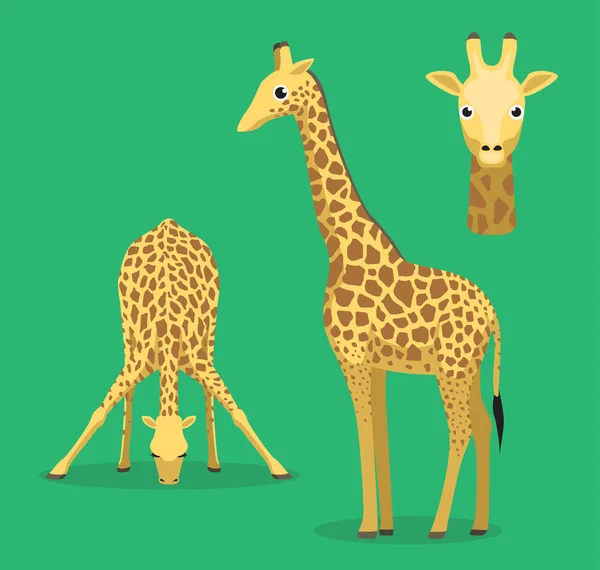 Niedliche Giraffe Trinkt Wasser Cartoon Vector Illustration — Stockvektor