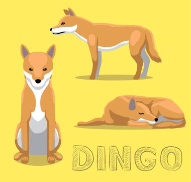 Köpek Dingo Çizgi Film Vektör İllüstrasyonu