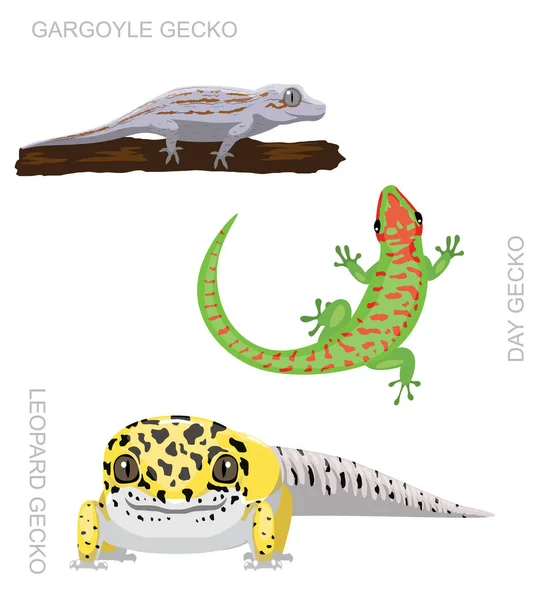 Lizard Gecko Set การ นเวกเตอร ภาพประกอบ — ภาพเวกเตอร์สต็อก