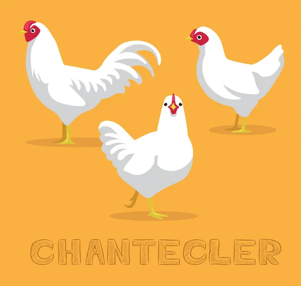 Kyckling Chantecler Tecknad Vektor Illustration — Stock vektor