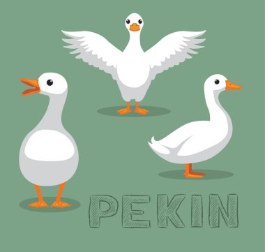 Ördek Pekin Çizgi Filmi Vektör İllüstrasyonu