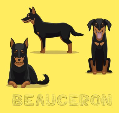 Köpek Beauceron Çizgi Film Vektör İllüstrasyonu