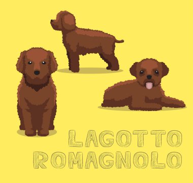 Köpek Lagotto Romagnolo Çizgi Film Vektör İllüstrasyonu