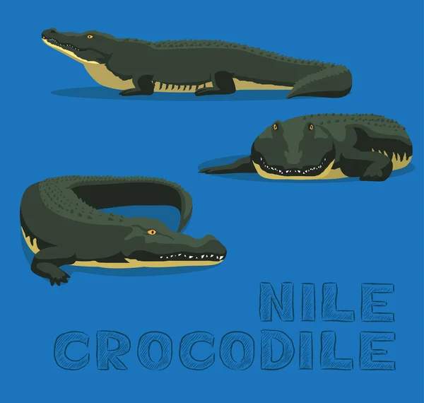 Nilen Krokodil Tecknad Vektor Illustration — Stock vektor