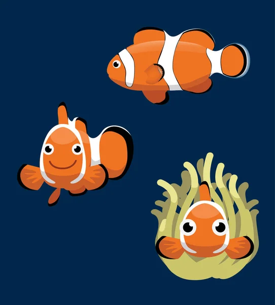 Ocellaris Clownfisch Cartoon Vector Illustration — Stockvektor