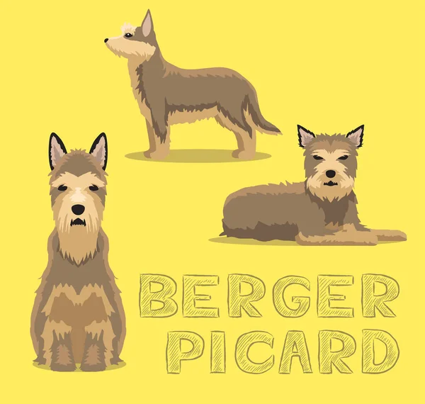 Hund Berger Picard Cartoon Vector Illustration — Stockvektor